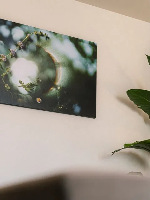 壁に飾られた、植物の写真のアートパネル。