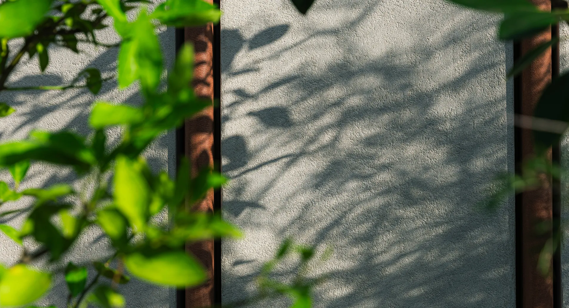 YADO/Re 薬院の外観。コンクリート壁に差し込む木漏れ日が、落ち着いた雰囲気を演出している。