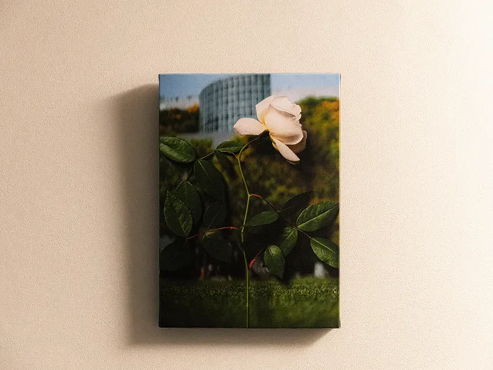 建物を背景に一輪の花を写した額装写真が壁に飾られている。